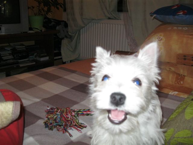 dej mi ochutnat