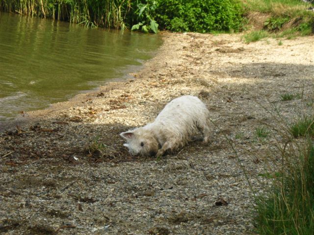 Snímek 087